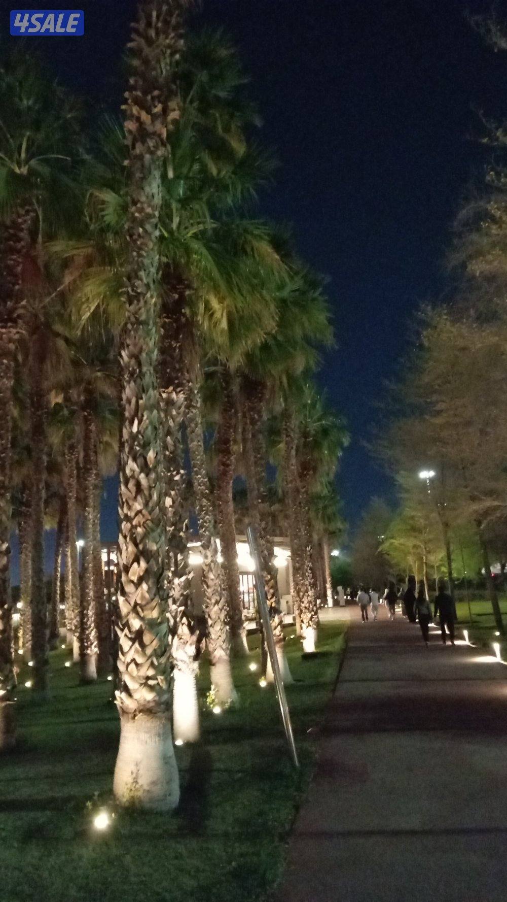 أبحث عن عمل0