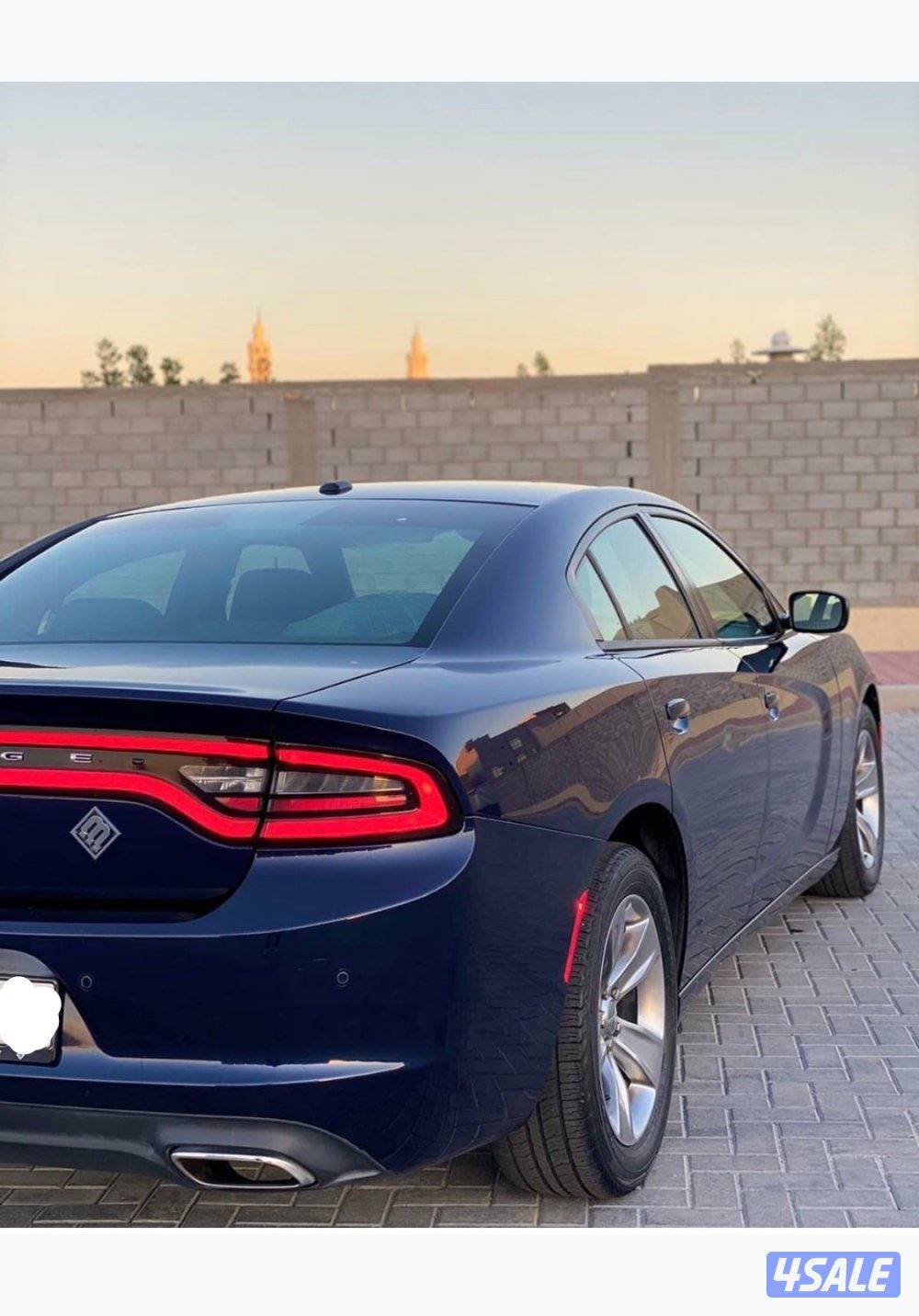 مو محتاج دينار1