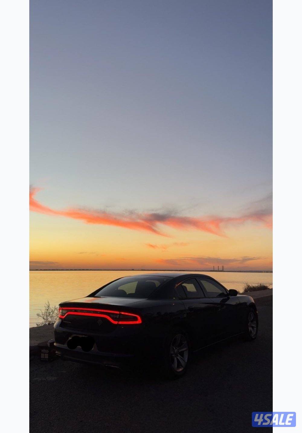 مو محتاج دينار2