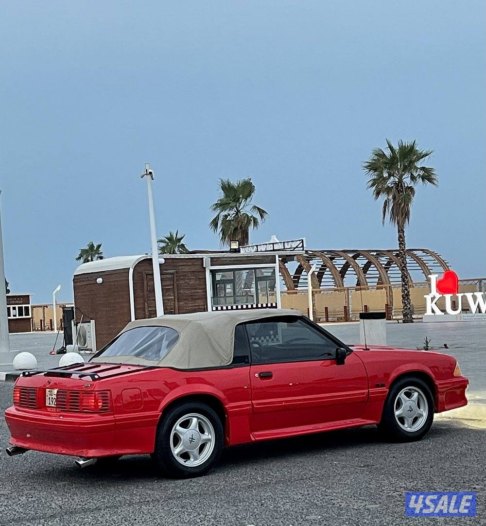 سيرفس كامل حديث  الشاصي خفس خلفي فحص الرمال6