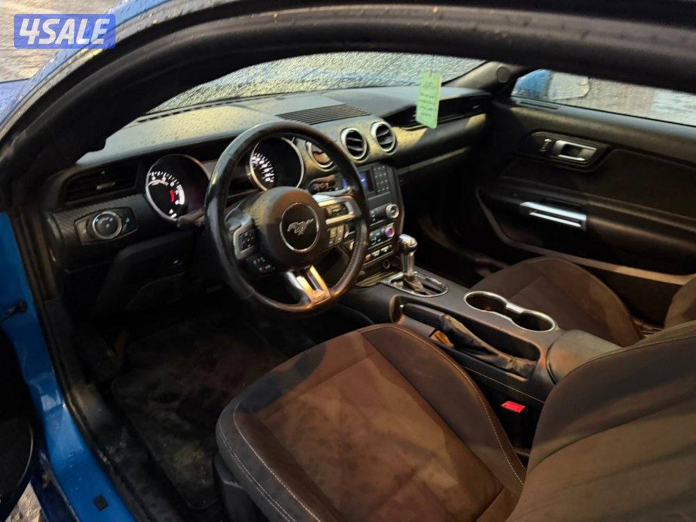 موستنج 2020 تماتيك8