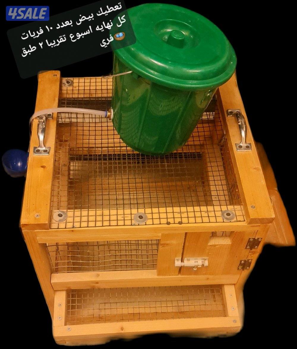 أصغر بطاريات 🪺فري بالكويت0