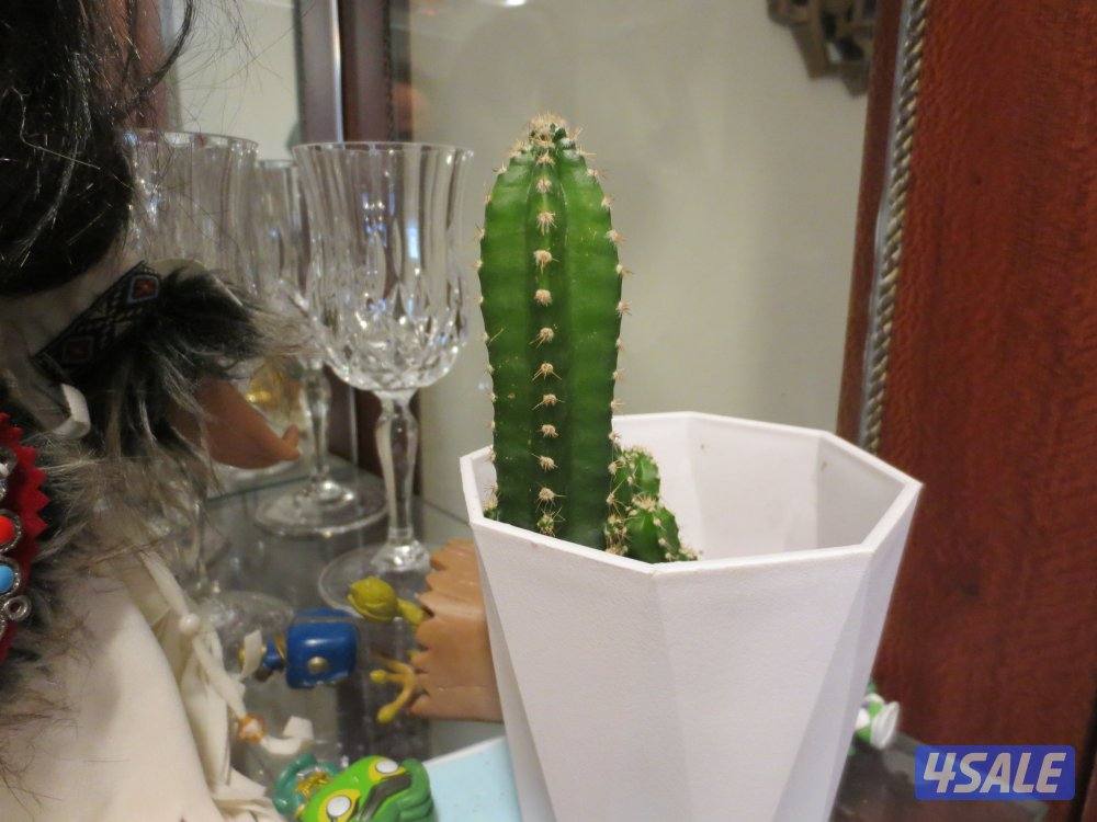 Camera canon Ixus 240 تفاصيل داخل13