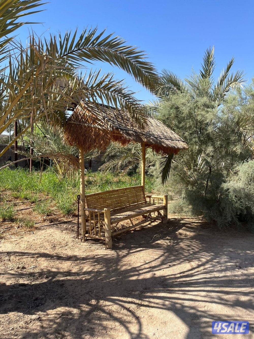 العبدلي متوفره بالعطله0