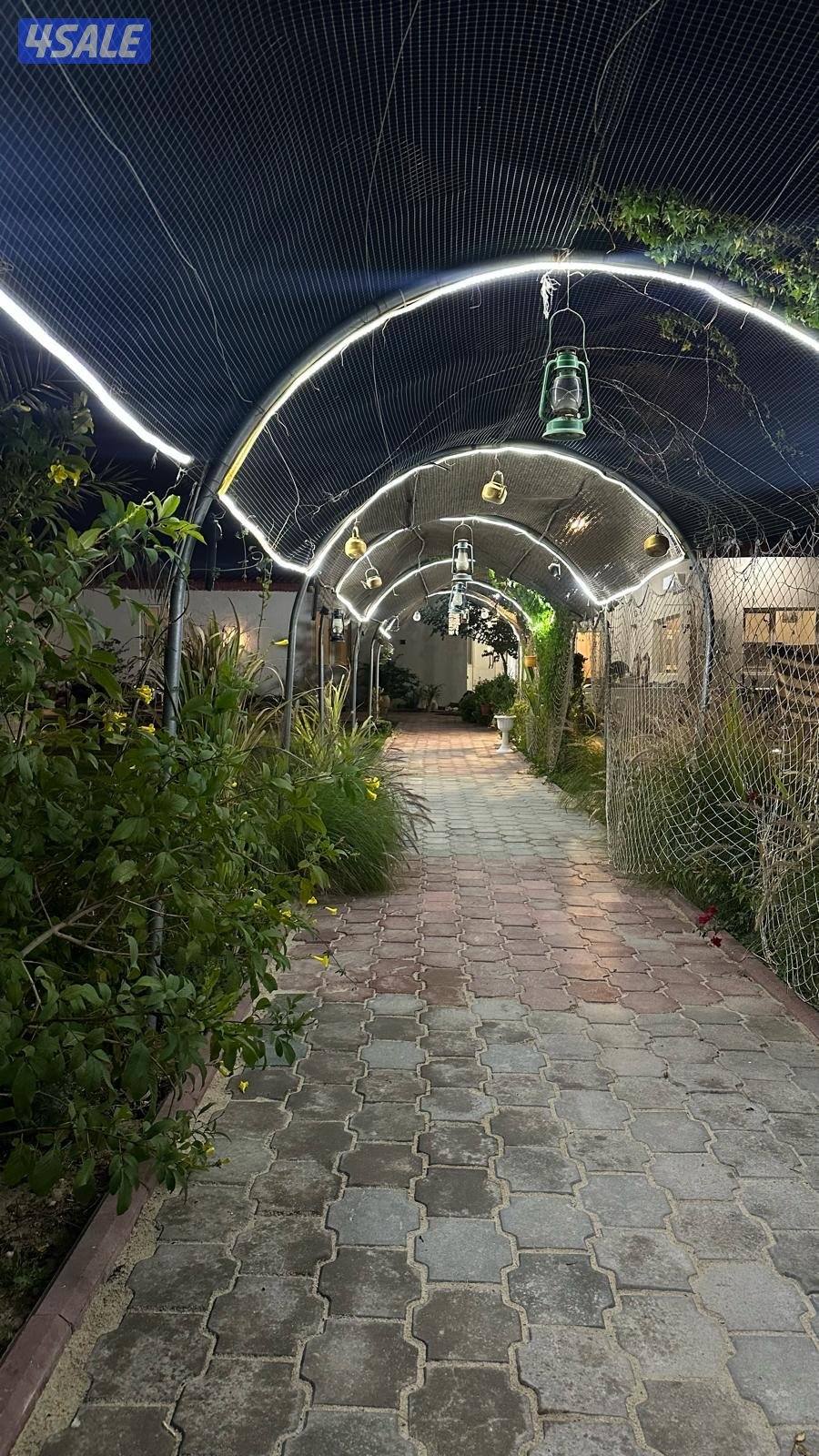 العبدلي متوفره بالعطله10