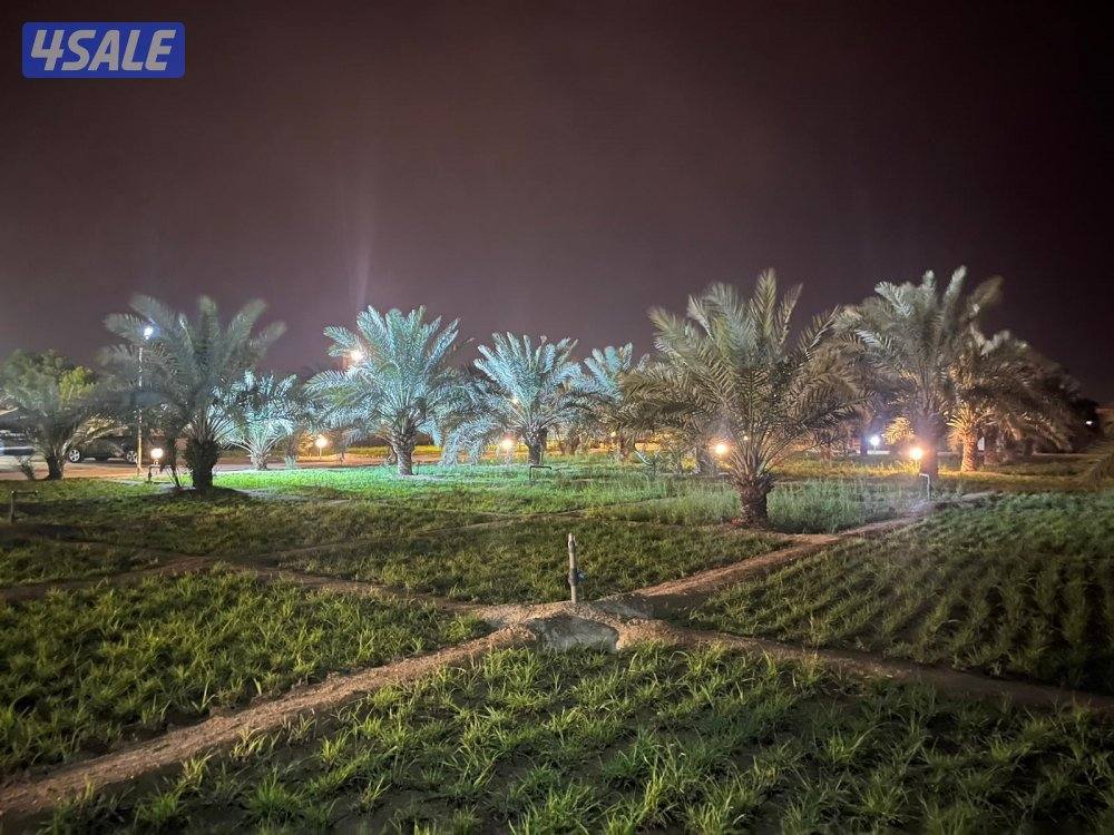 العبدلي متوفره بالعطله12