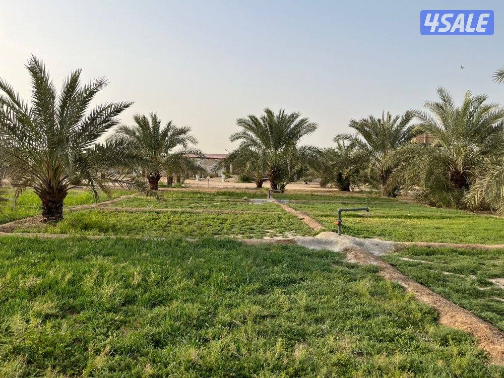 العبدلي متوفره بالعطله13