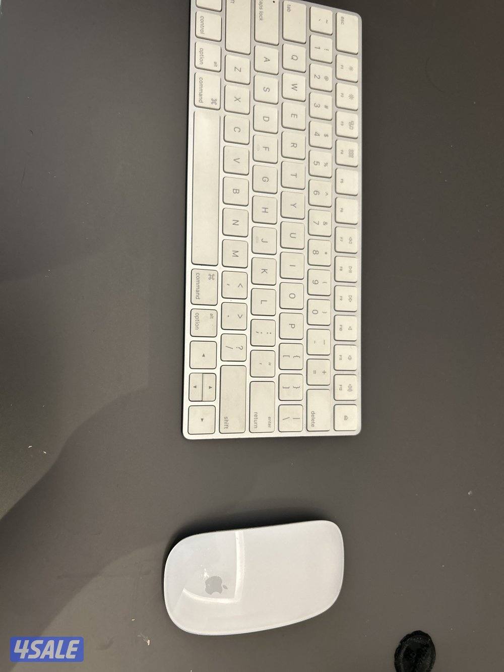 Apple magic keyboard and mouse0