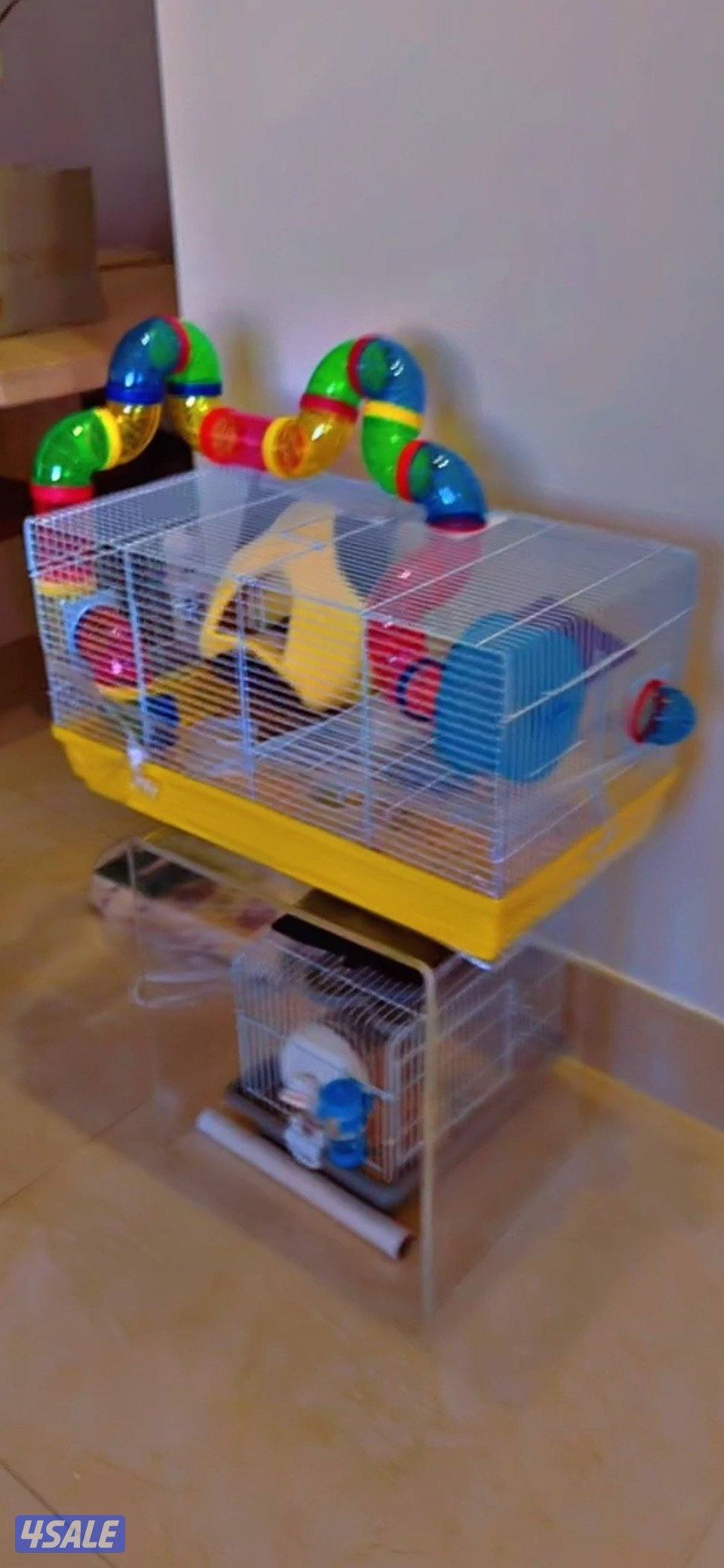 بيعه سريعه شوقر قلايدر  ربوه   شي فاخر4