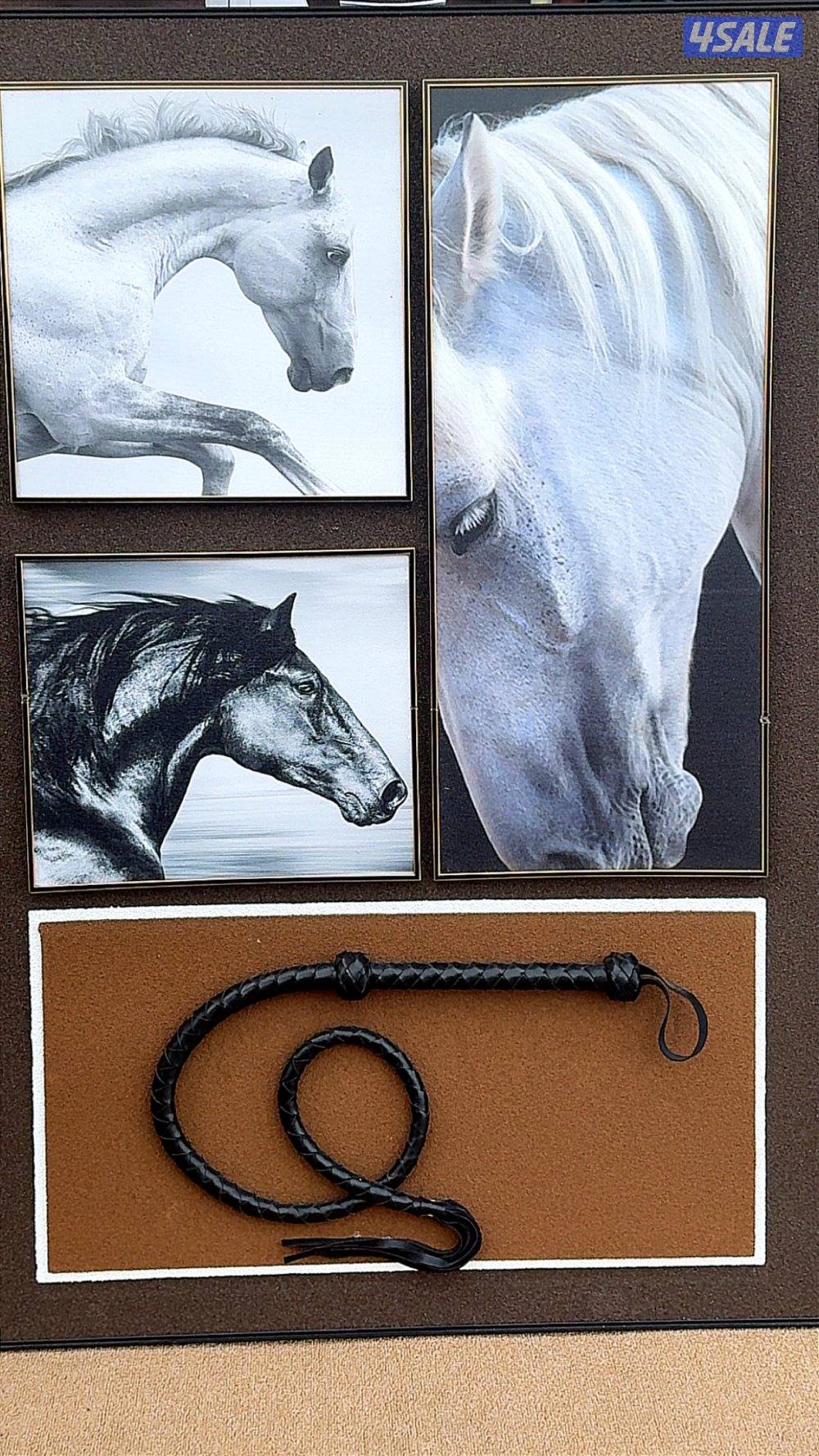 مطلوب شقه في جابر العلي ٣ غرف  لعائله صغيره ( طفلين )0