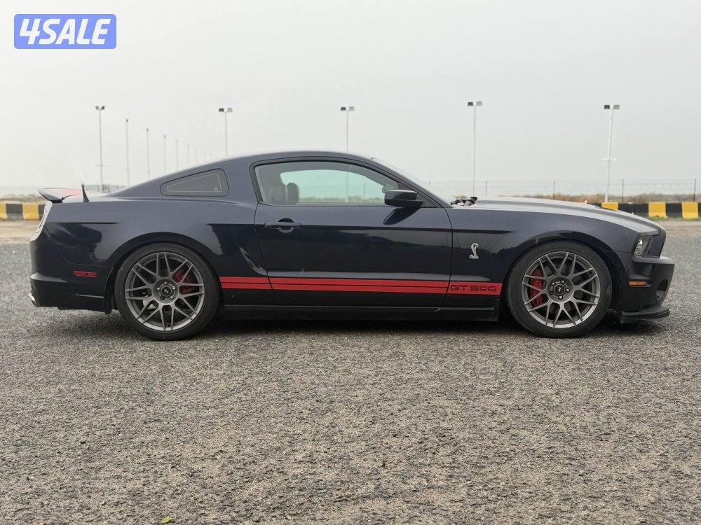 (للبيع موستنق شلبي اصلي)1