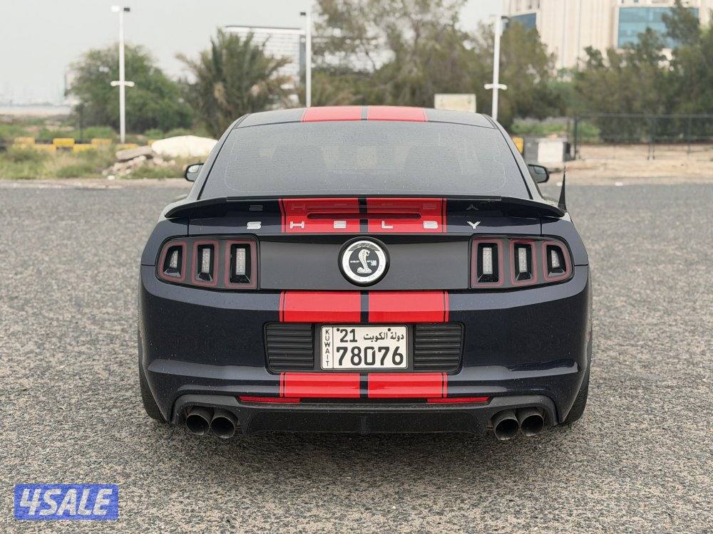 (للبيع موستنق شلبي اصلي)2