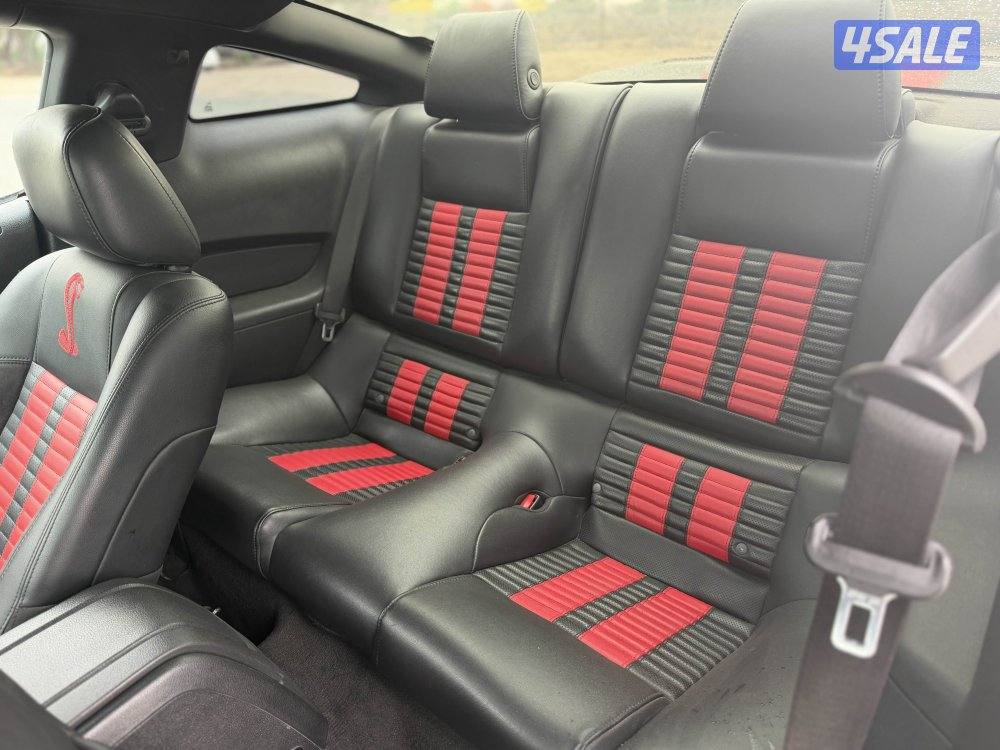 (للبيع موستنق شلبي اصلي)5