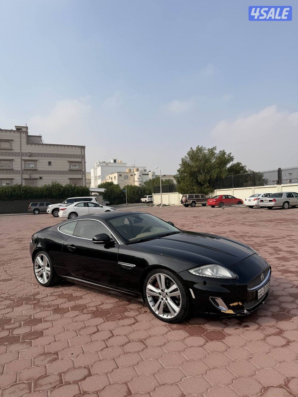 جاغور xk 20130