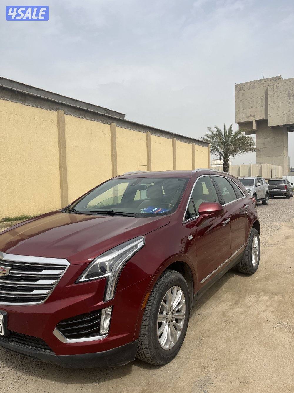 كدلك شرط الفحص20170