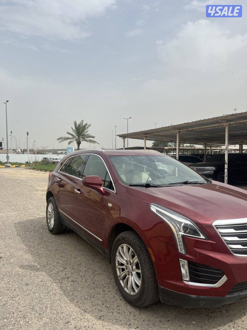 كدلك شرط الفحص20171