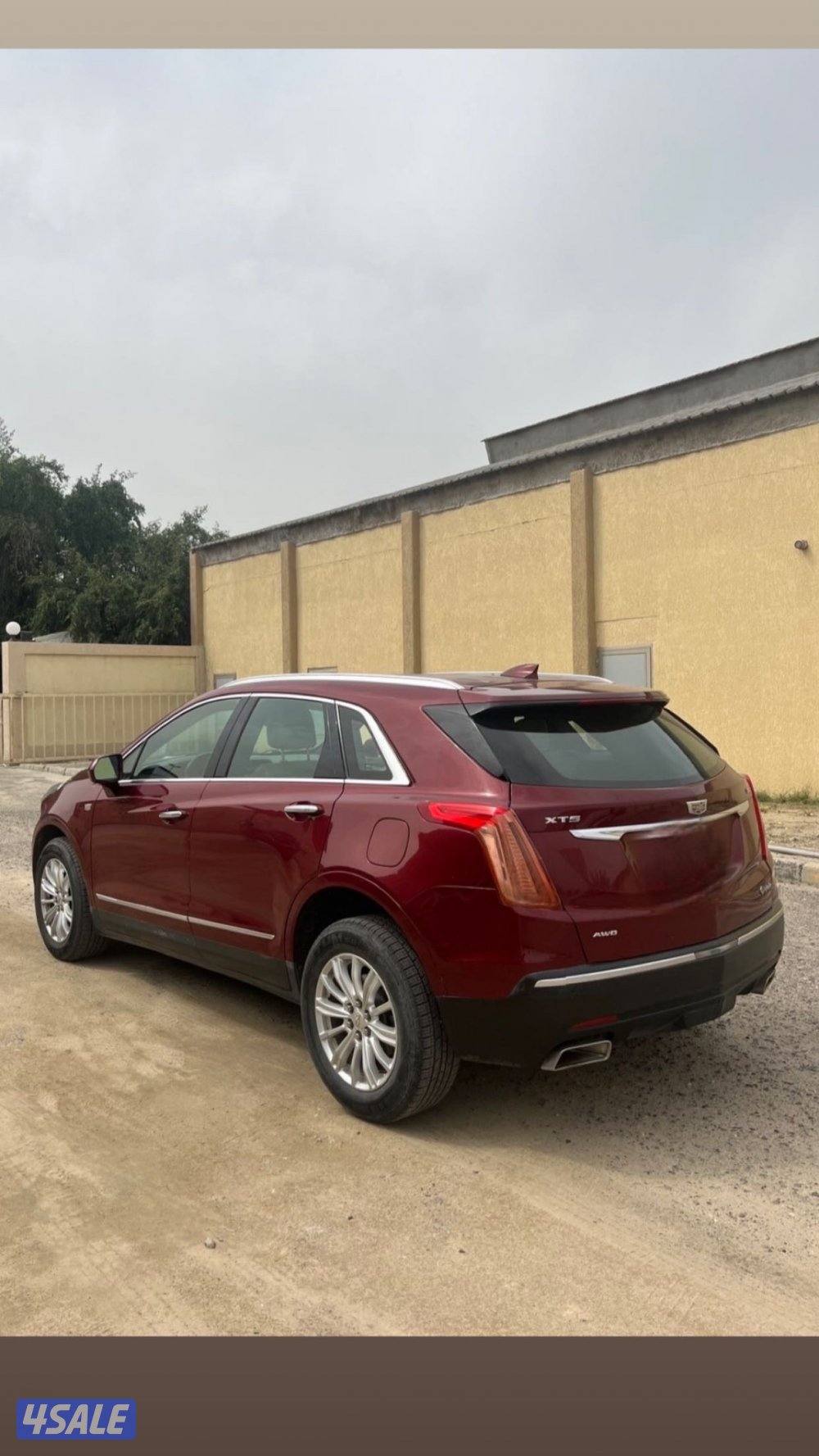 كدلك شرط الفحص20173