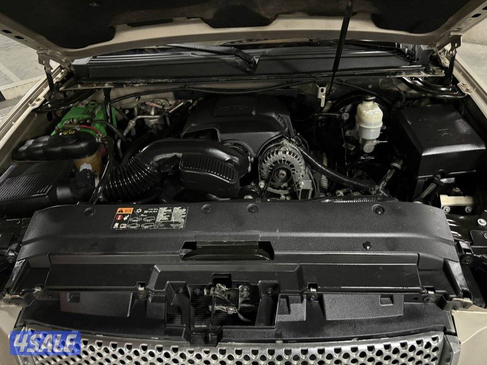 يوكن شرط الفحص11