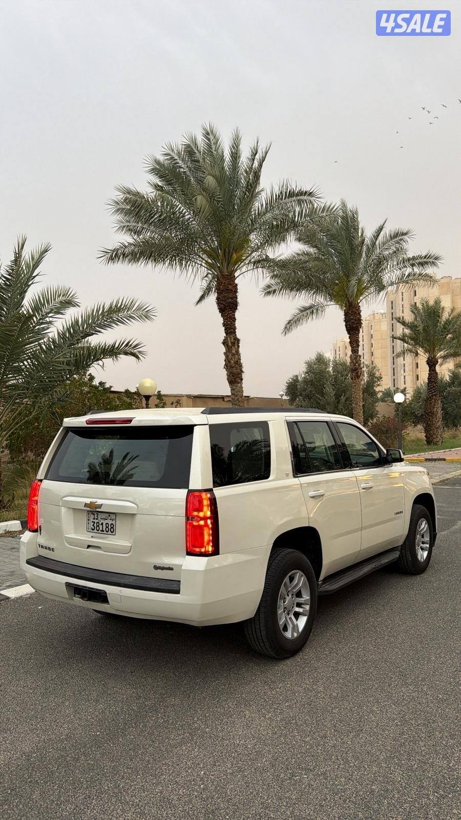 تاهو شرط الفحص3