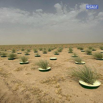 مطلوب محمية واسعة للأبل في ام صفق0