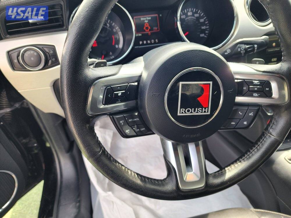 فورد موستنج  ROUSH10