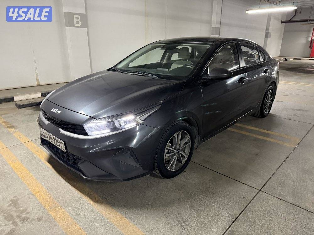 ( صبغ الوكالة وتحت الكفالة )0