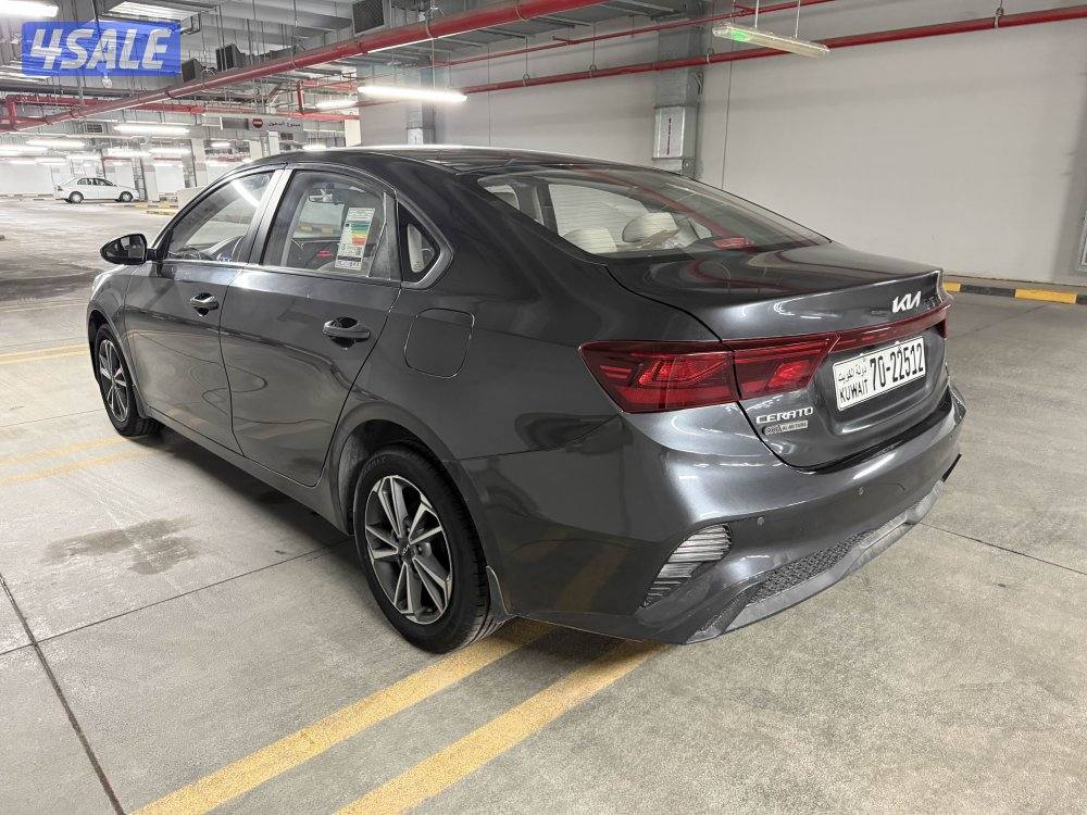 ( صبغ الوكالة وتحت الكفالة )2