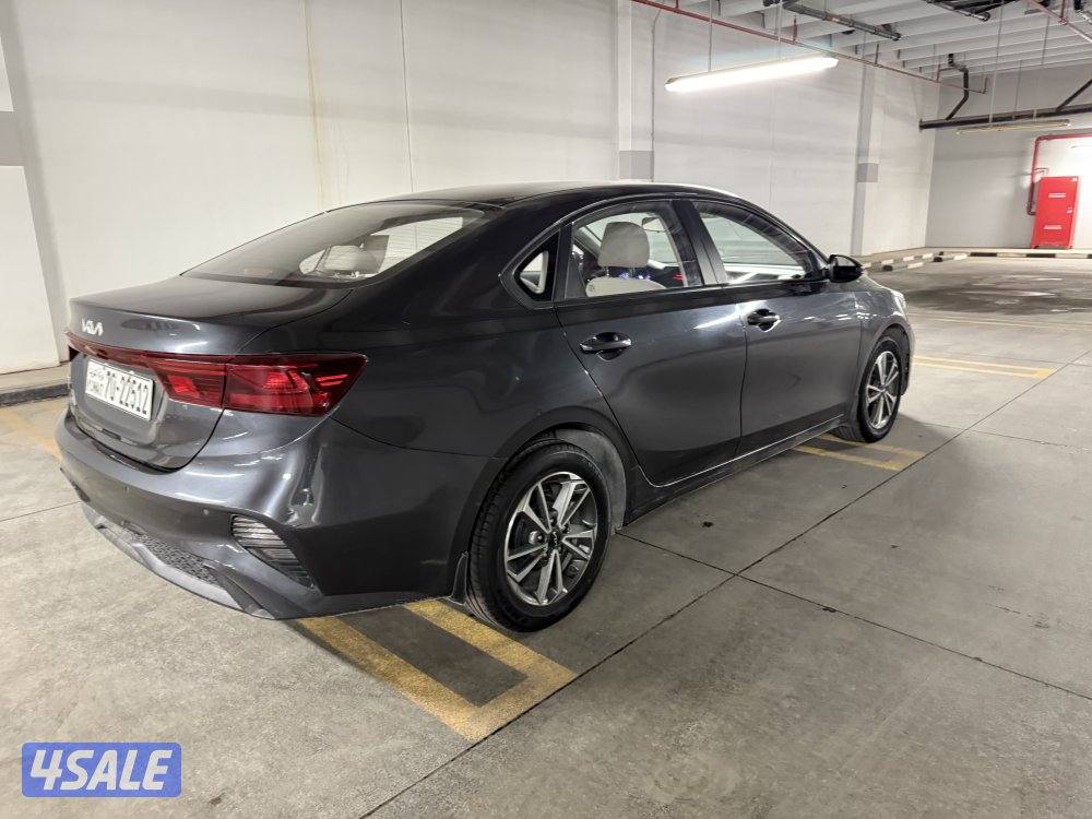 ( صبغ الوكالة وتحت الكفالة )3