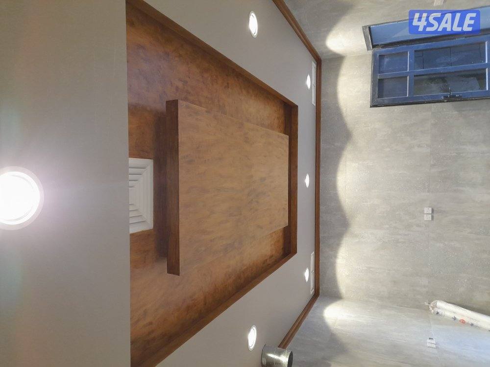 Wall painter and wood painter1