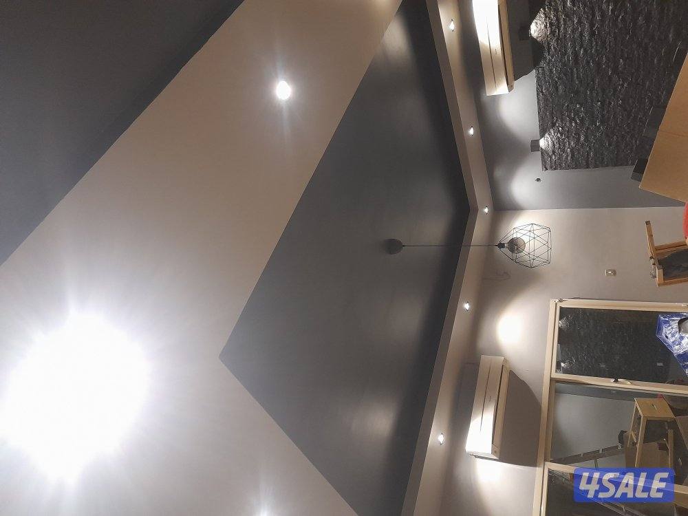 Wall painter and wood painter2