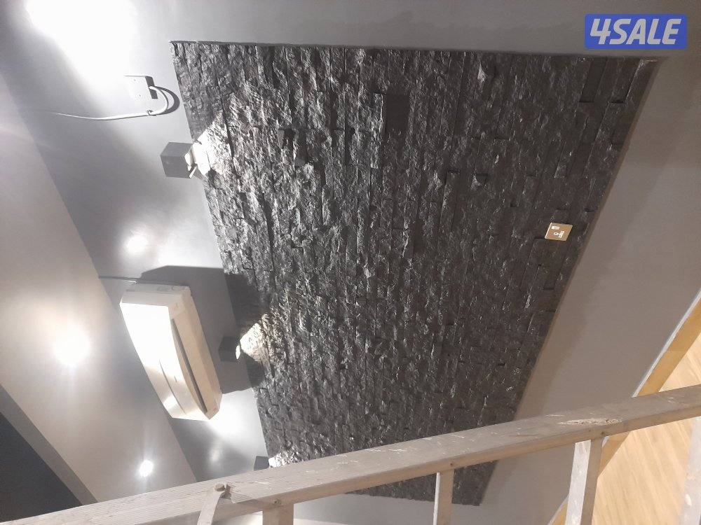 Wall painter and wood painter3