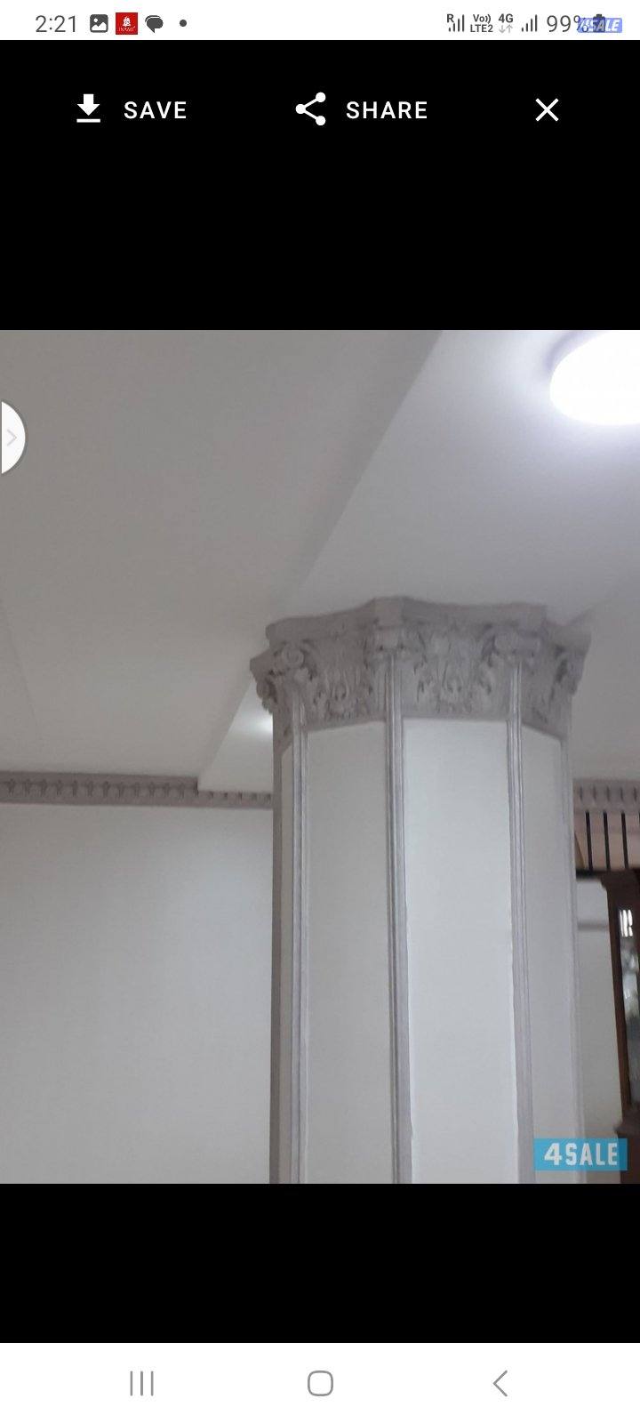 Wall painter and wood painter9