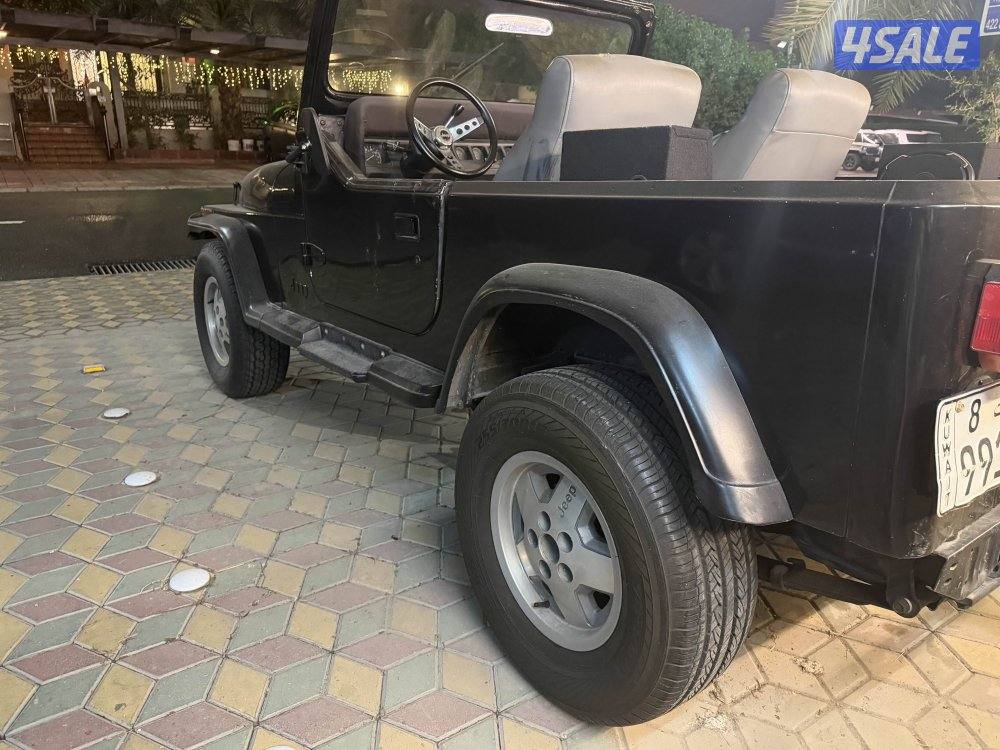 رانجلر YJ 19914