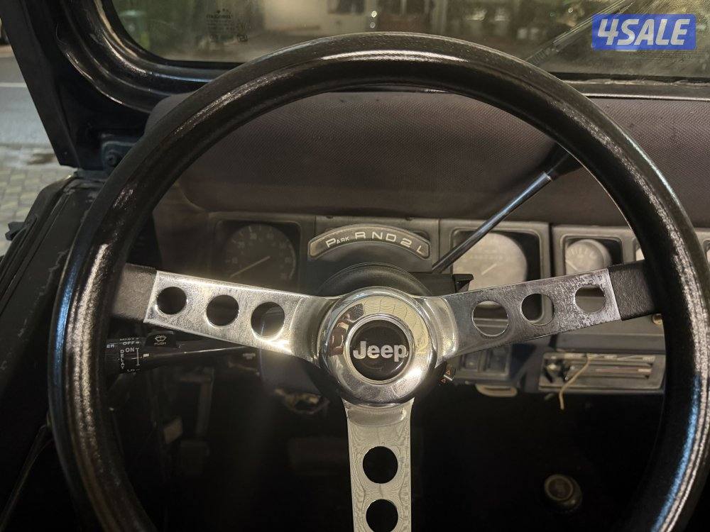 رانجلر YJ 19915