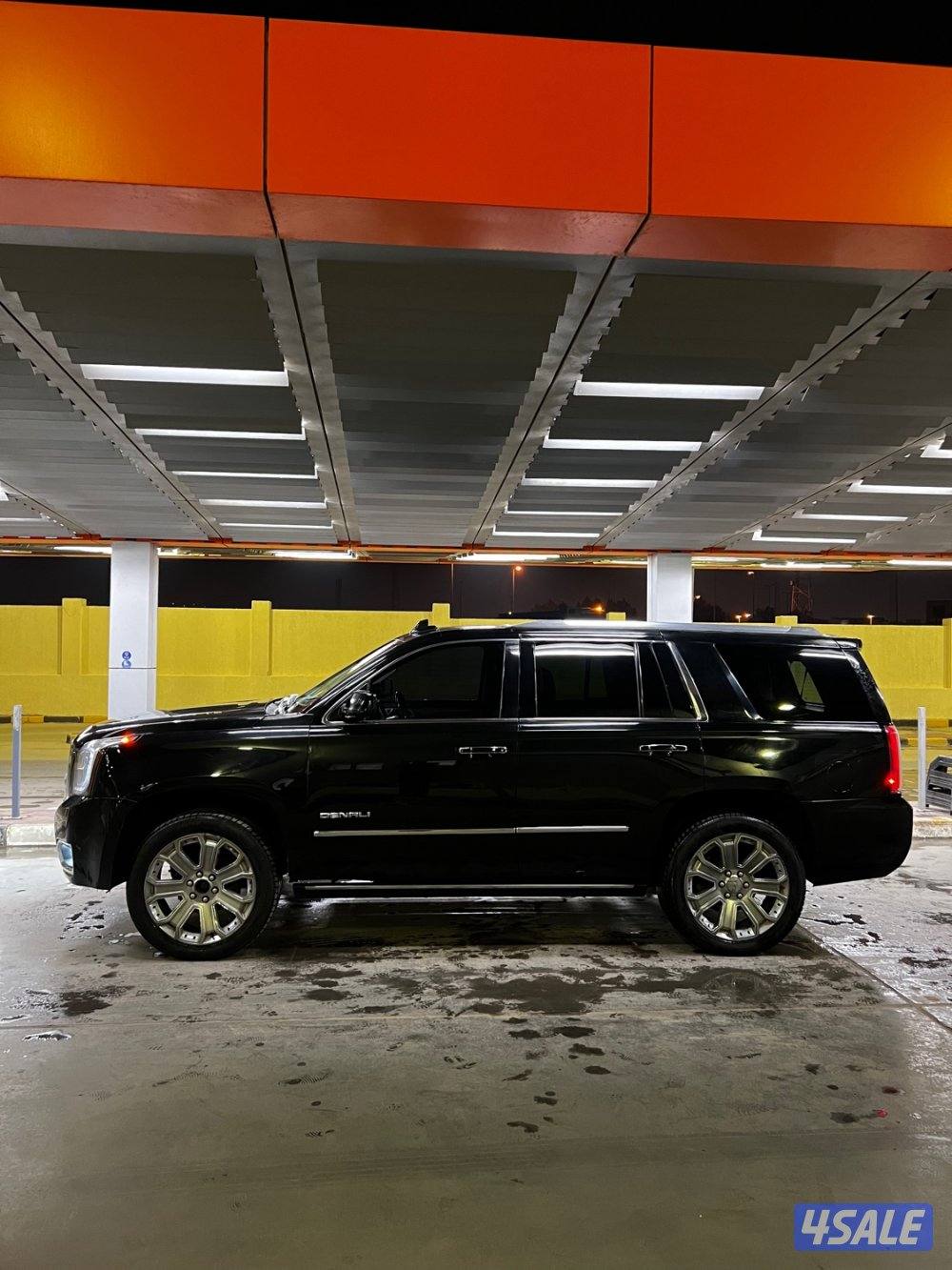 يكون دينالي 20151