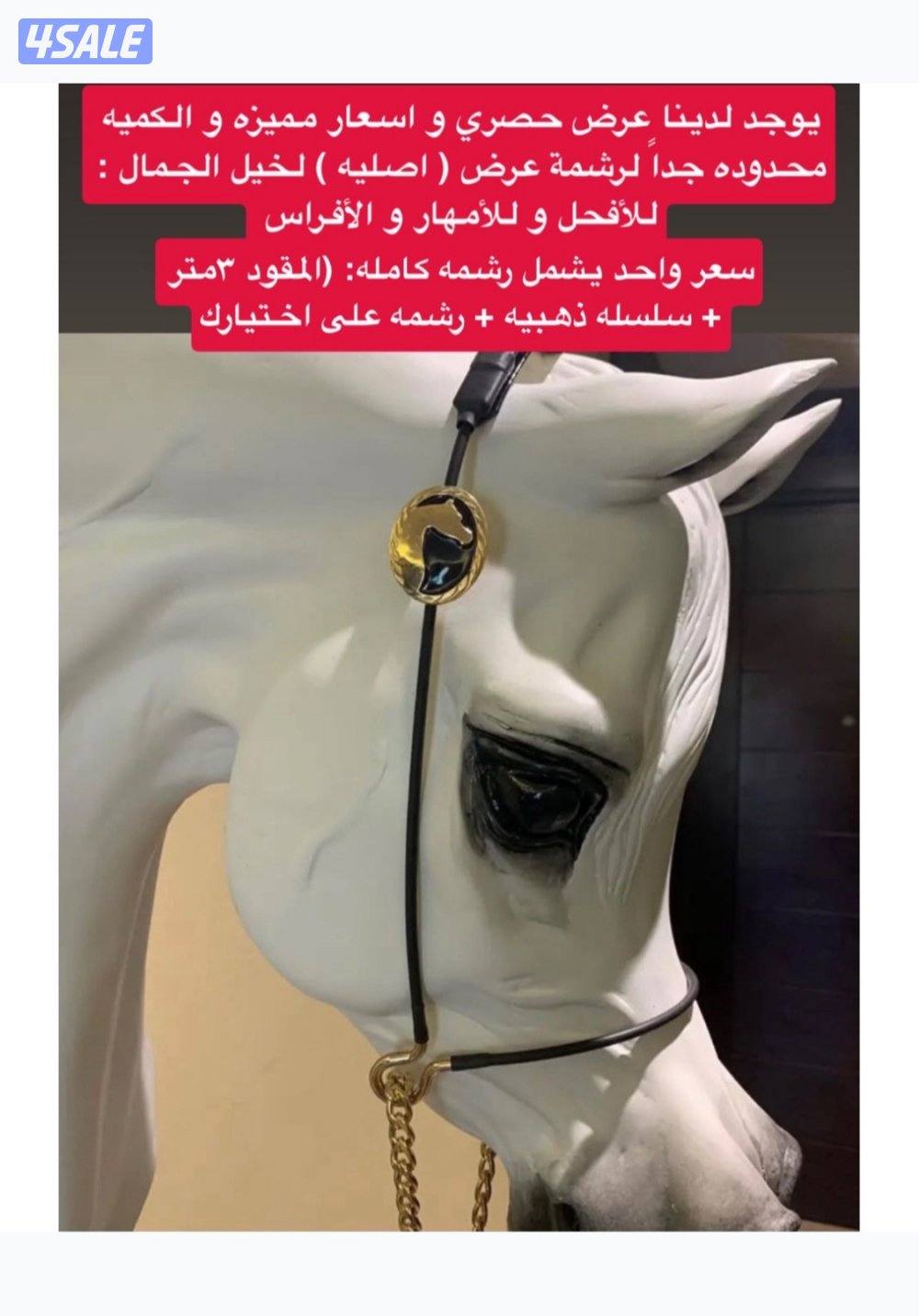 🔥كميه محدوده بيع رشمة عرض🔥0