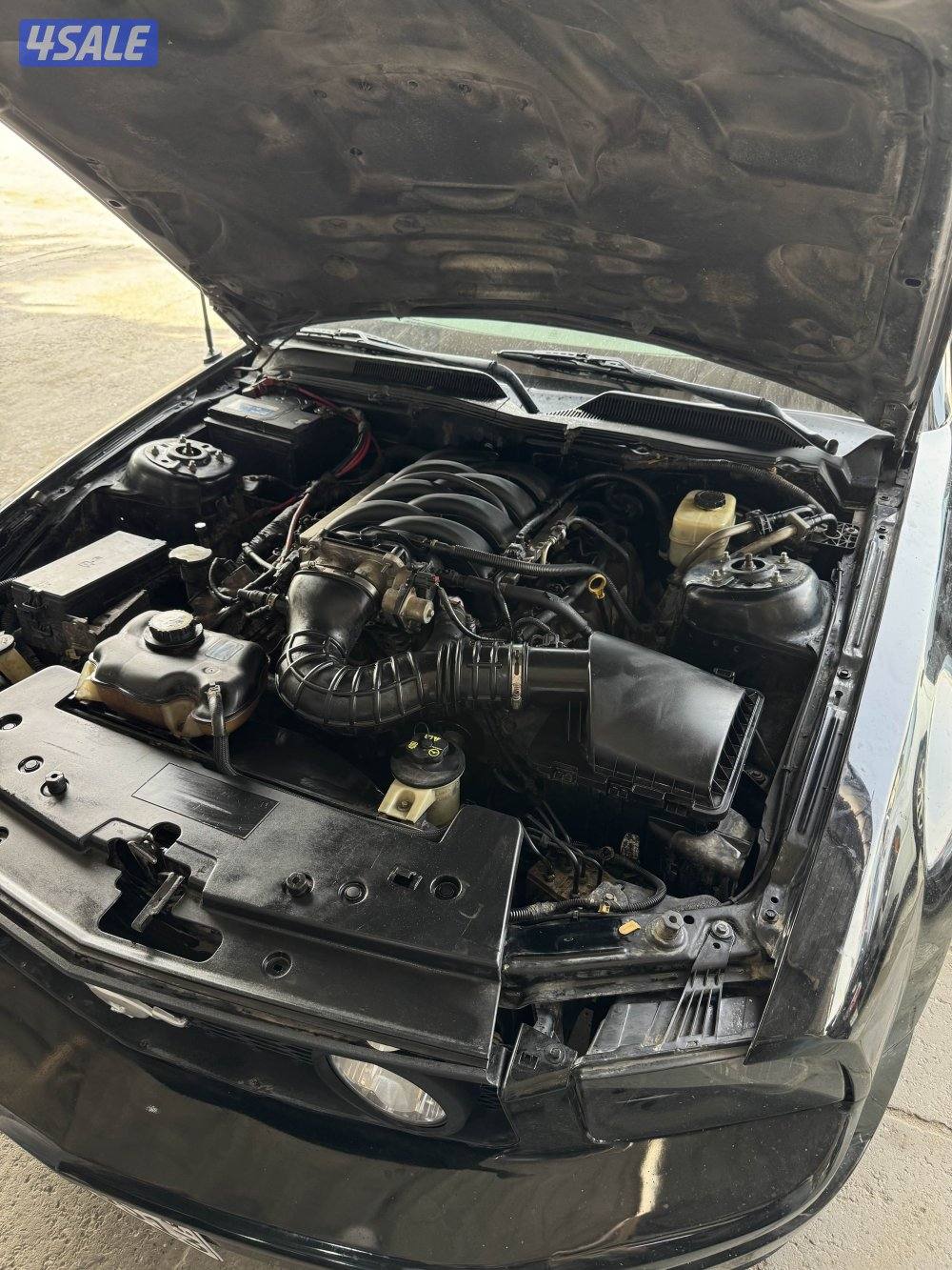 موستنق تماتيك6