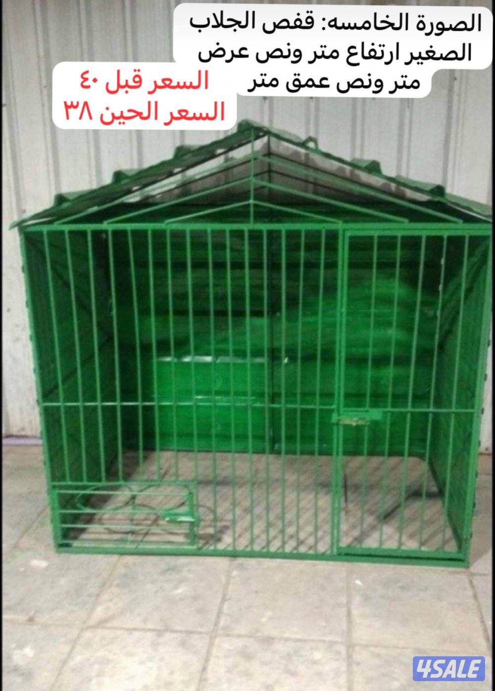 للكلاب والطيور والدجاج والحمام4