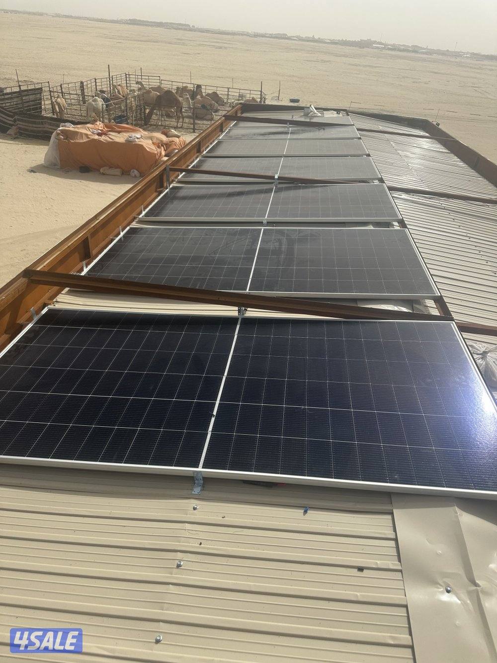 عروض شمس الصباح8