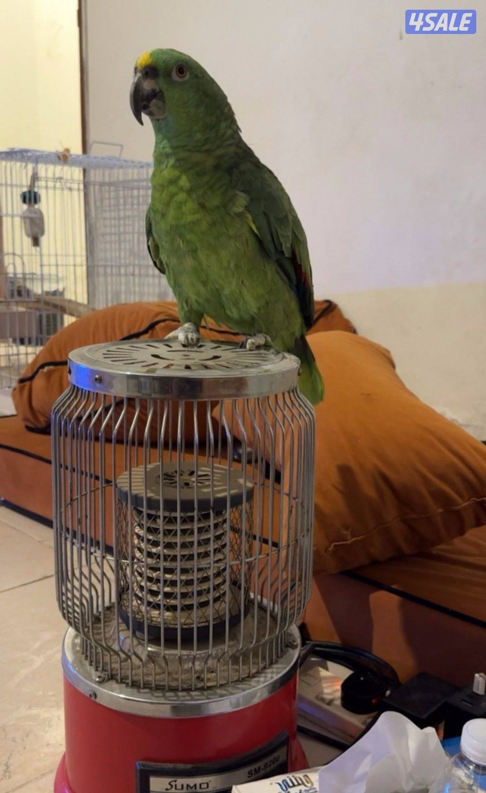 للبيع يلوناب متحدث0