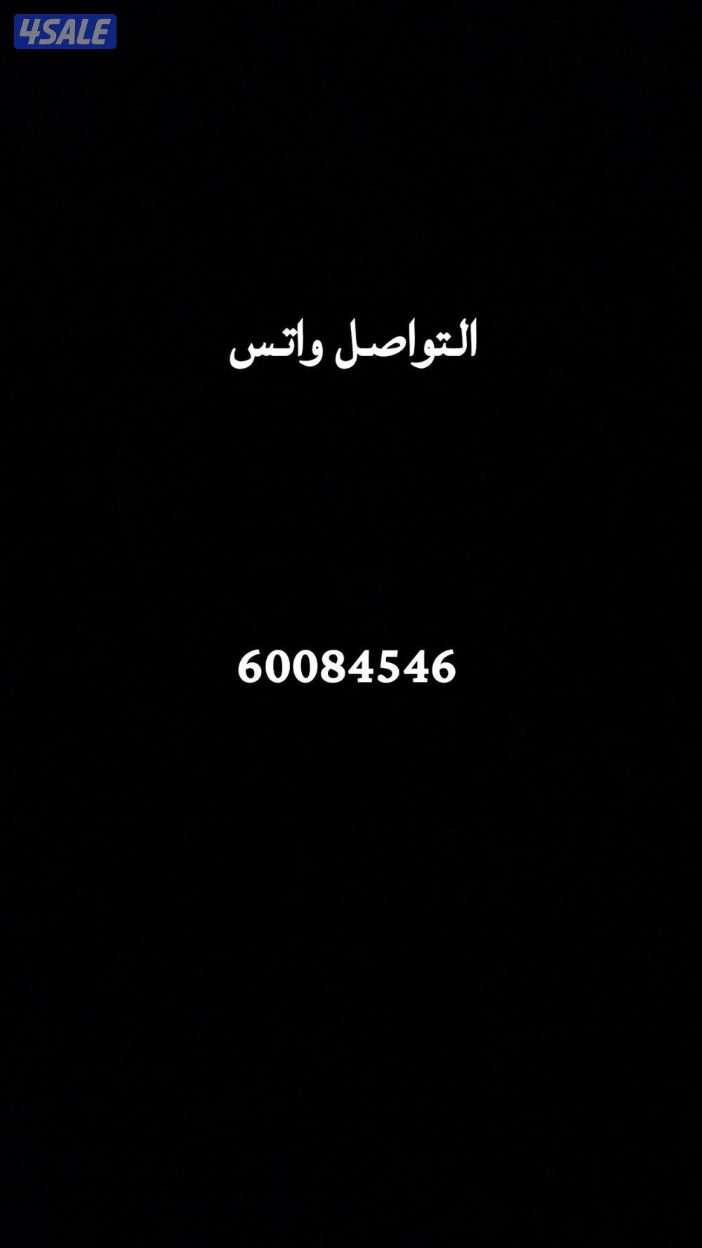 مطلوب ديك و دجاج فينكس1