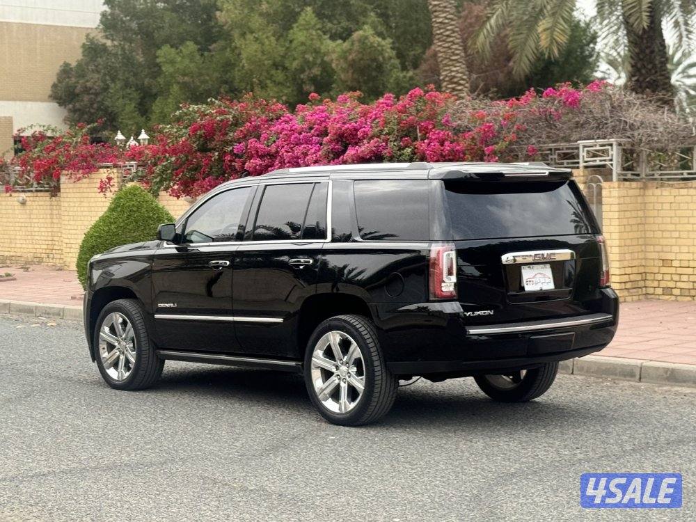 دنالي ٢٠١٧3