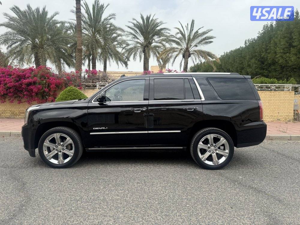 دنالي ٢٠١٧5