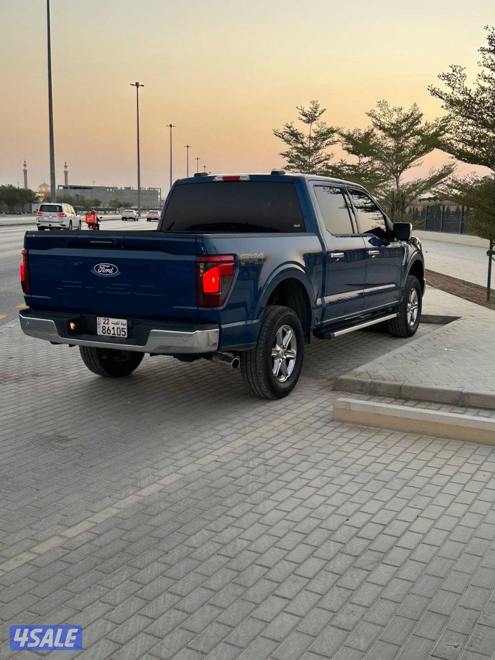 للبيع وانيت F-150 فورد0