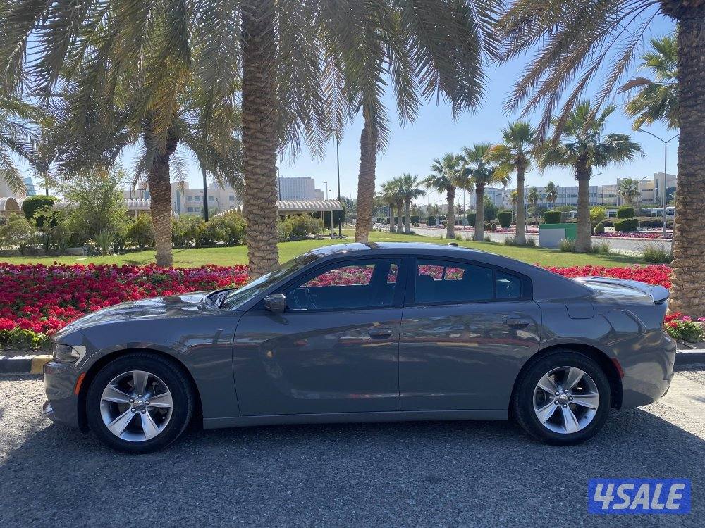 وكالة / ممشى ٦٤ فقط2