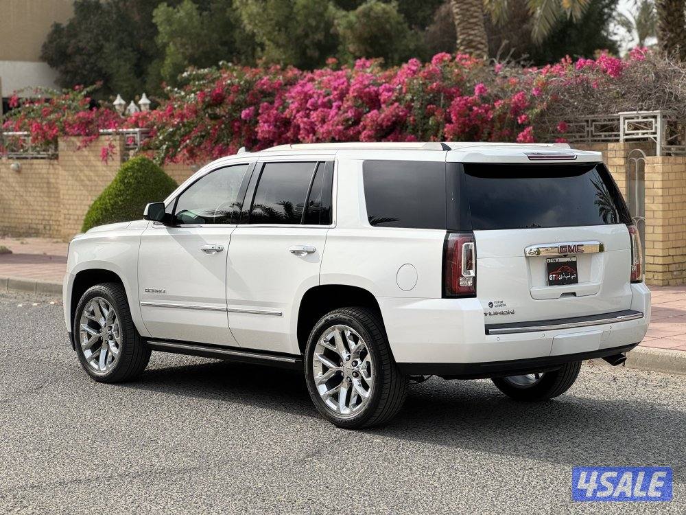 دنالي اعلى درجه ٢٠١٩4