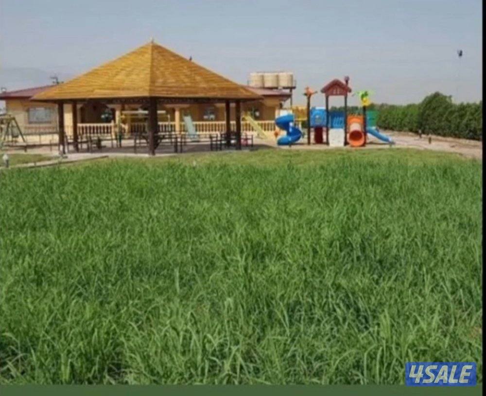 للبيع ربطات بلوبيك انتاج المزرعه بالعبدلي0