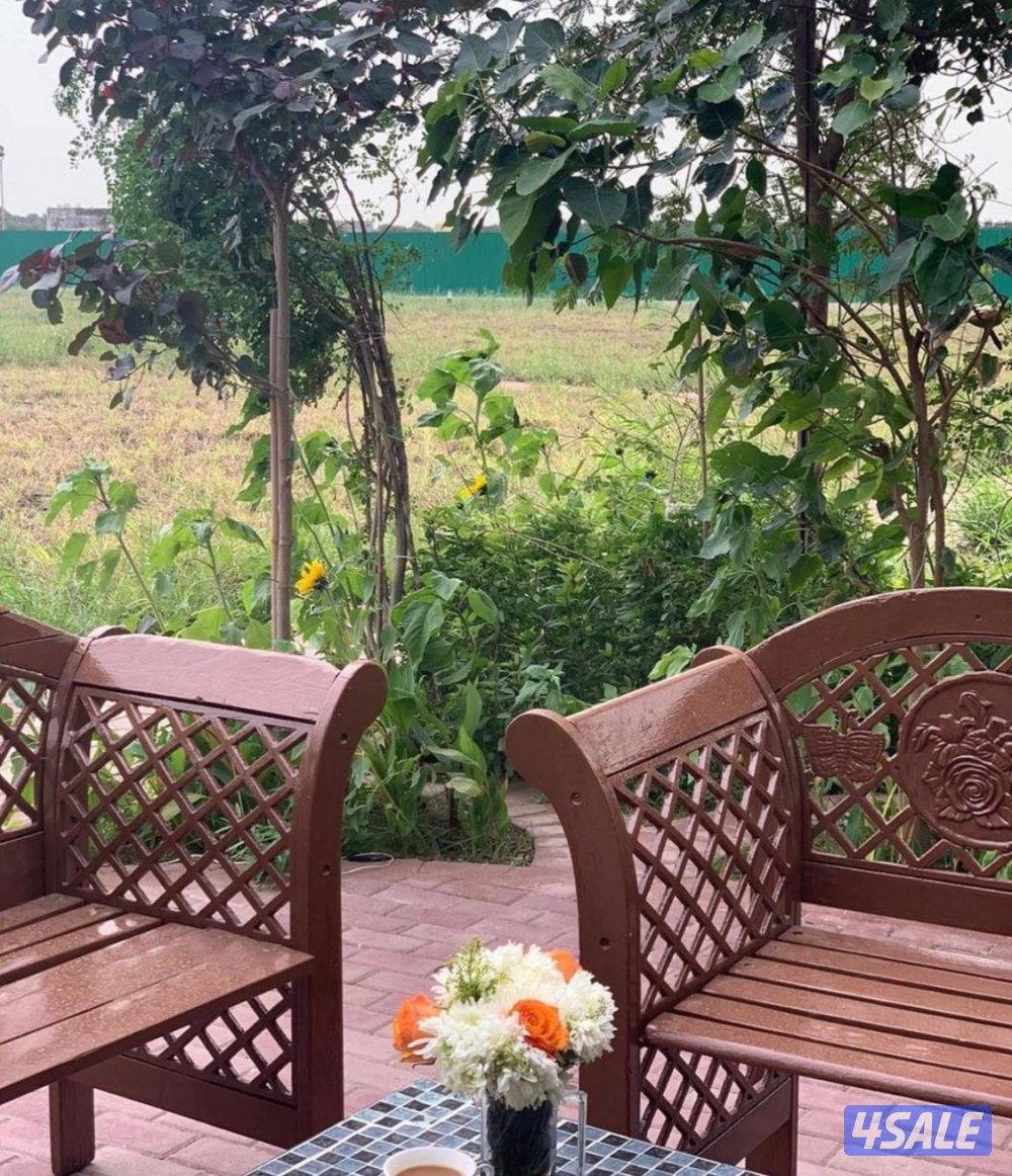 للبيع ربطات بلوبيك انتاج المزرعه بالعبدلي1