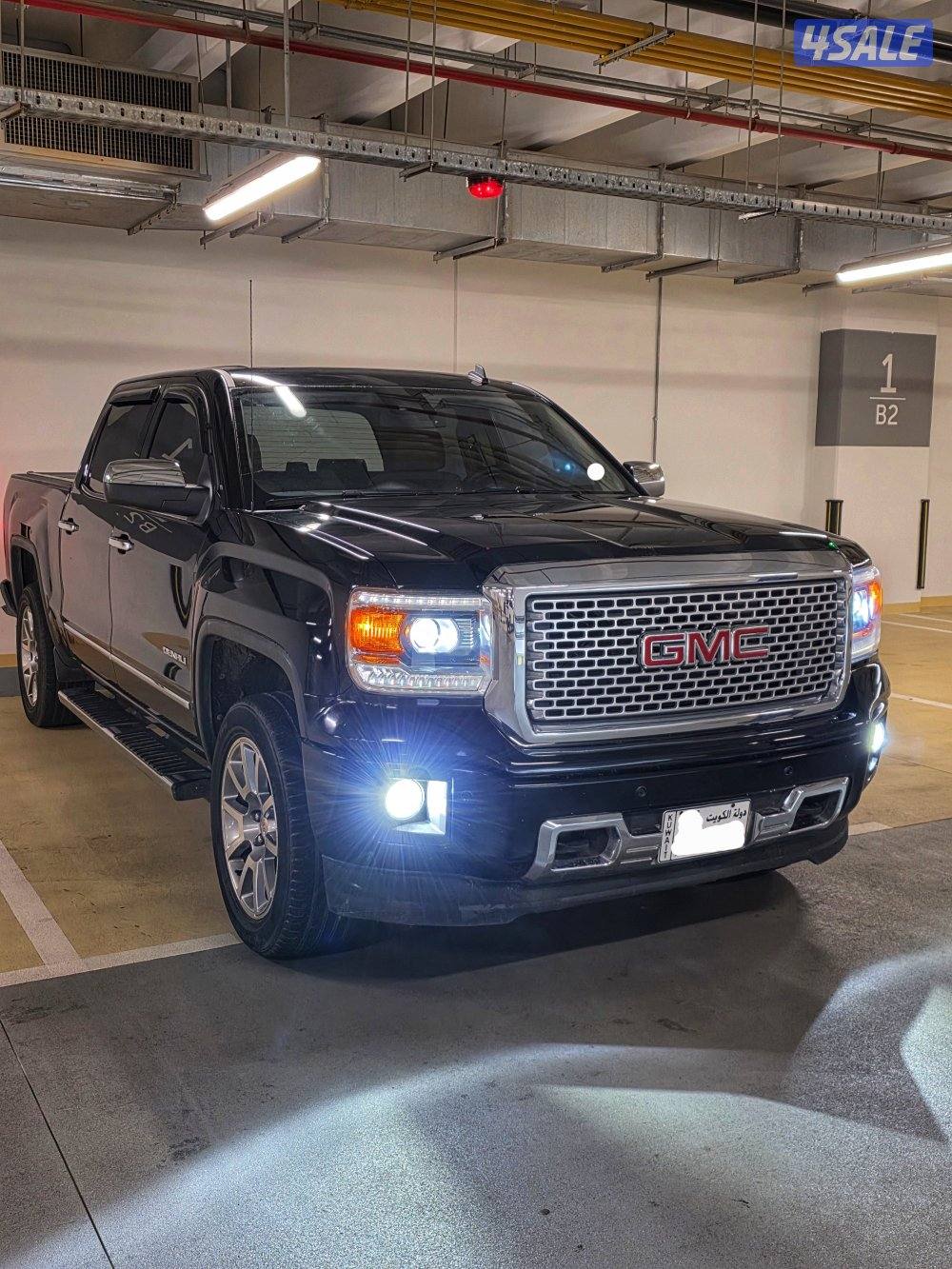 وانيت دينالي 20151