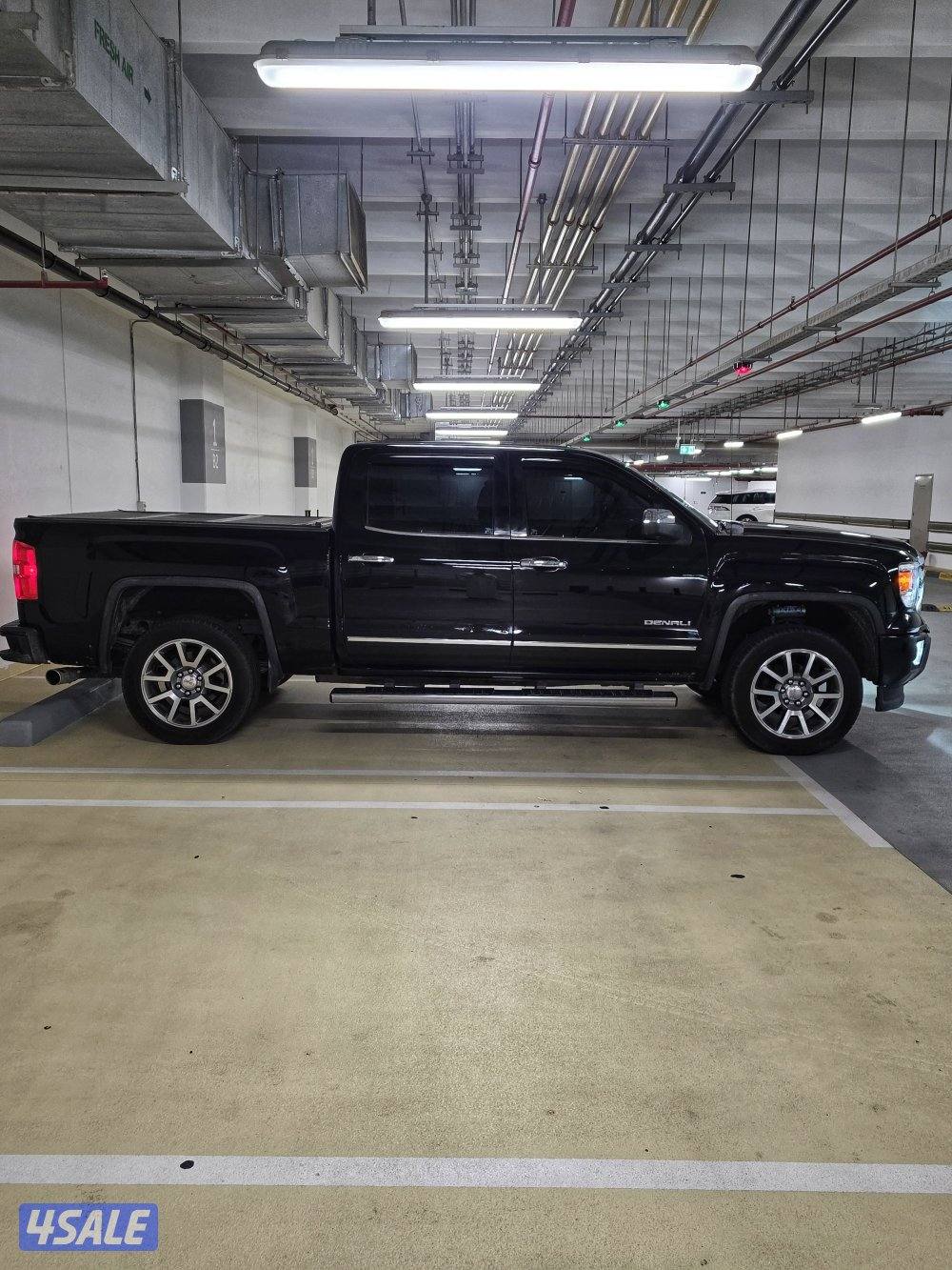 وانيت دينالي 20152